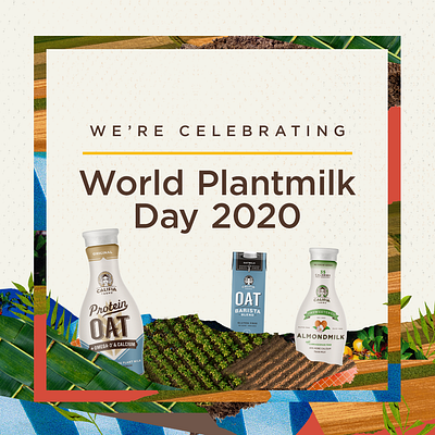 Califia Farms, World Plantmilk Day branding design food illustration ui