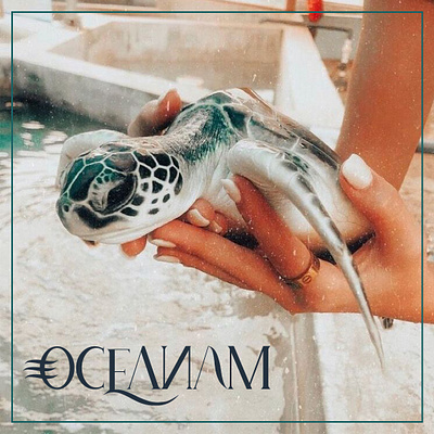 Oceanam Logo Design by L Design Studio branding design logo logo design marine life ocean ocean animals typography