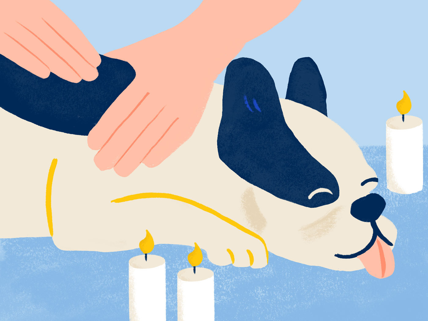 Pamper your Pup with a Doggy Massage by tiffany egbert on Dribbble 