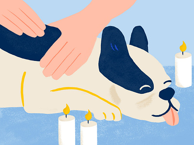 Pamper your Pup with a Doggy Massage editorial art illustration illustration design procreate