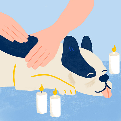 Pamper your Pup with a Doggy Massage editorial art illustration illustration design procreate