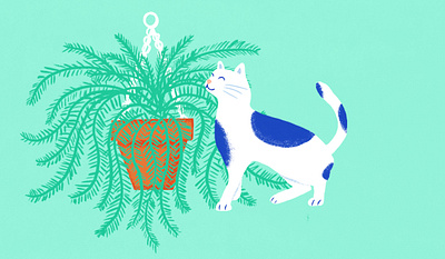 Pet Safe Plants design editorial art illustration illustration design procreate