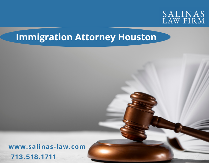 Immigration Attorney Houston Houston Immigration Lawyer By Alberto Salinas On Dribbble 4371