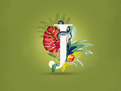 J - Jungle 36daysoftype collage collage art collage digital collage maker collageart design graphic graphicdesign illustration j jungle letter lettering palm plants snake tropical typo typography