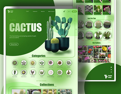 E-commerce website for a cactus plant shop cacti cactus e commerce ui ui ux design user interface ux web design