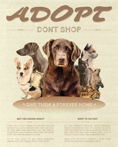 ADOPT, DON'T SHOP - POSTER DESIGN adobe graphic design illustrator photoshop poster