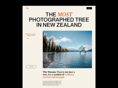 The Wanaka Tree Website Concept clean concept cream dark ecommerce editorial exploration grid landing page layout luxury magazine minimal photographer typography ui uiux ux web website