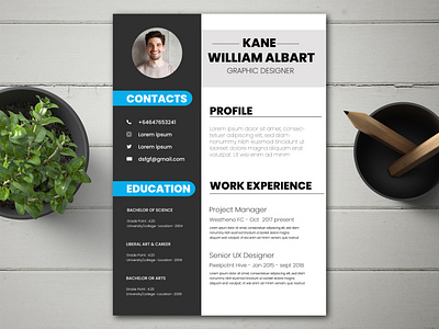 Resume design examples branding cv graphic design resume typography ui vector