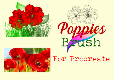 Brushes🌺 brushes for procreate digital art flores flowers illustration poppies brush procreate