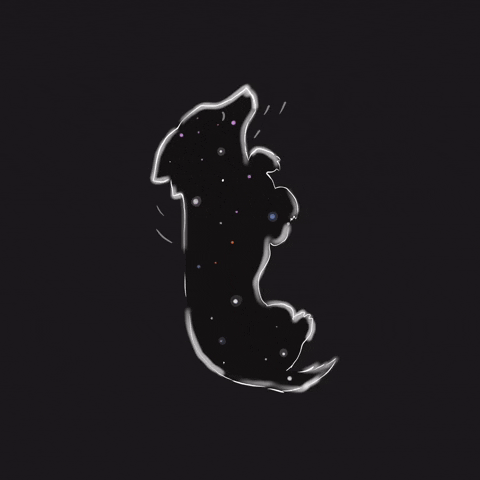 Example of Spirit Dog Gif