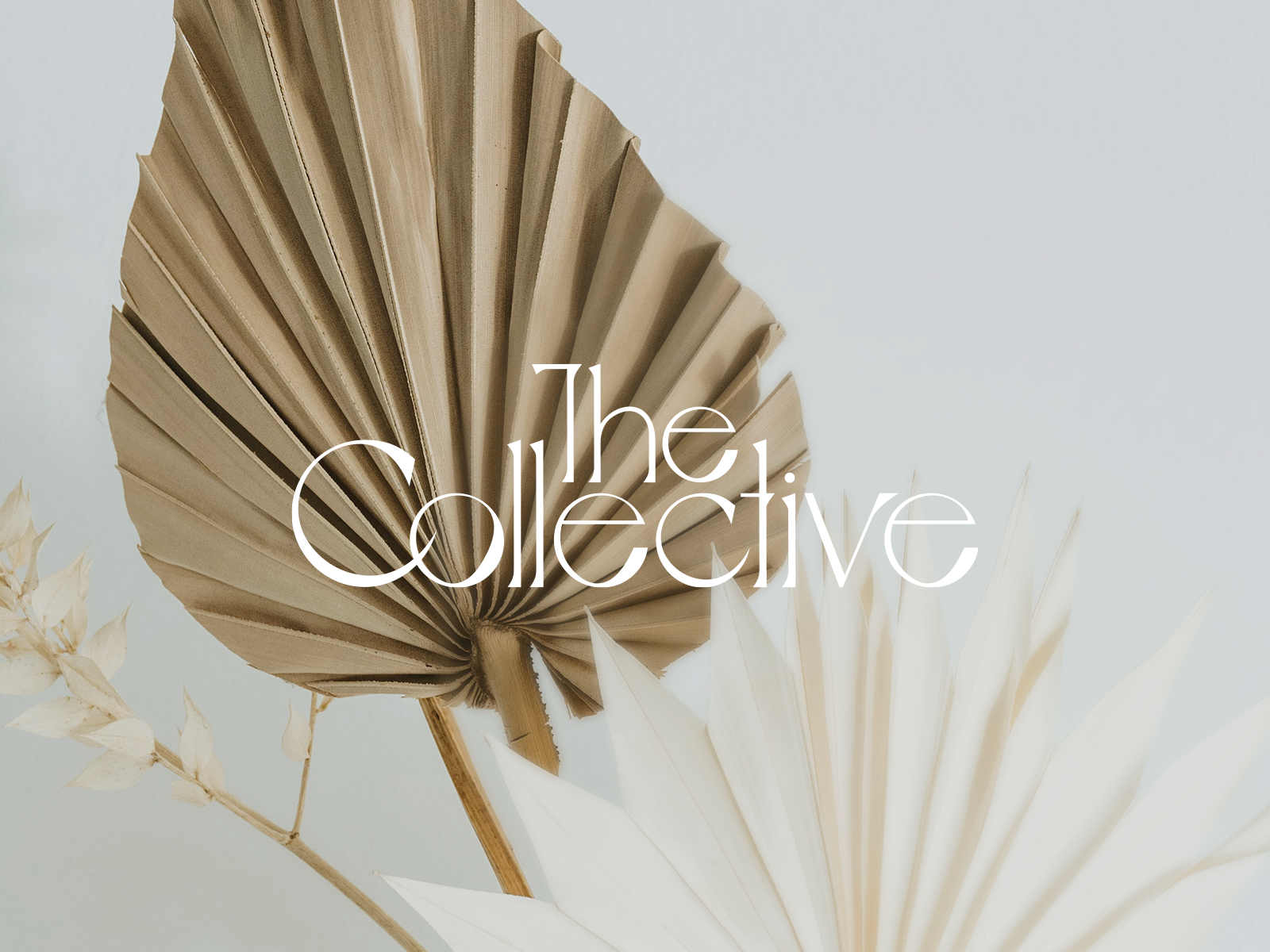 The Collective Logo brand design branding custom logo design graphic design logo minimal typography vector