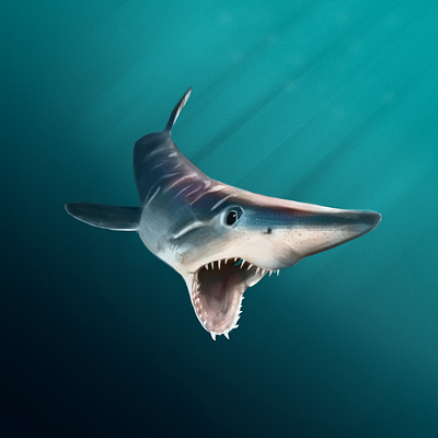 Shark digital painting illustration nature ocean photoshop shark