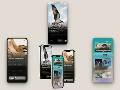 Osprey Conservation App design app branding design graphic design green illustration logo ui ux vector