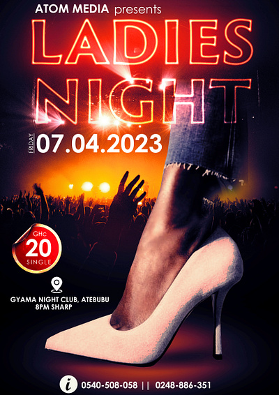 Ladies Night Party Flyer design graphic design