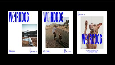 Weirddog Brand Identity brand identity branding design digital design graphic design logo typography visual identity web design