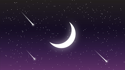 Night Sky Illustration design graphic design illustration