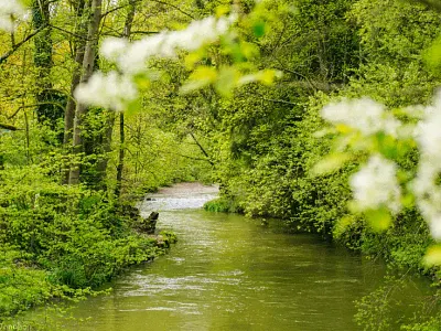 Shopify ecommerce development for Helias by 3oneseven ecommerce shop shopify