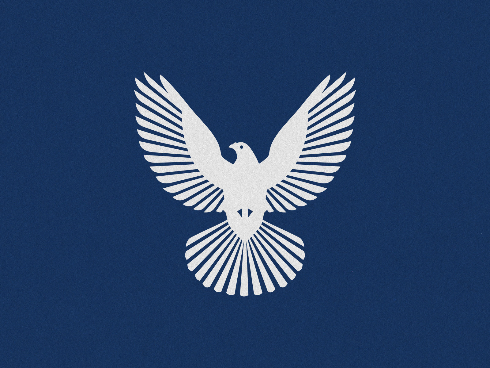 NSA VIDEOGRAPHY bird bold dove flying icon logo simple video videography wings