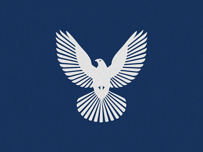 NSA VIDEOGRAPHY bird bold dove flying icon logo simple video videography wings