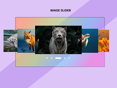 Image Slider 072 dailyui design image slider ui