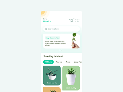 Discovery page of PictureThis design green plant ui white