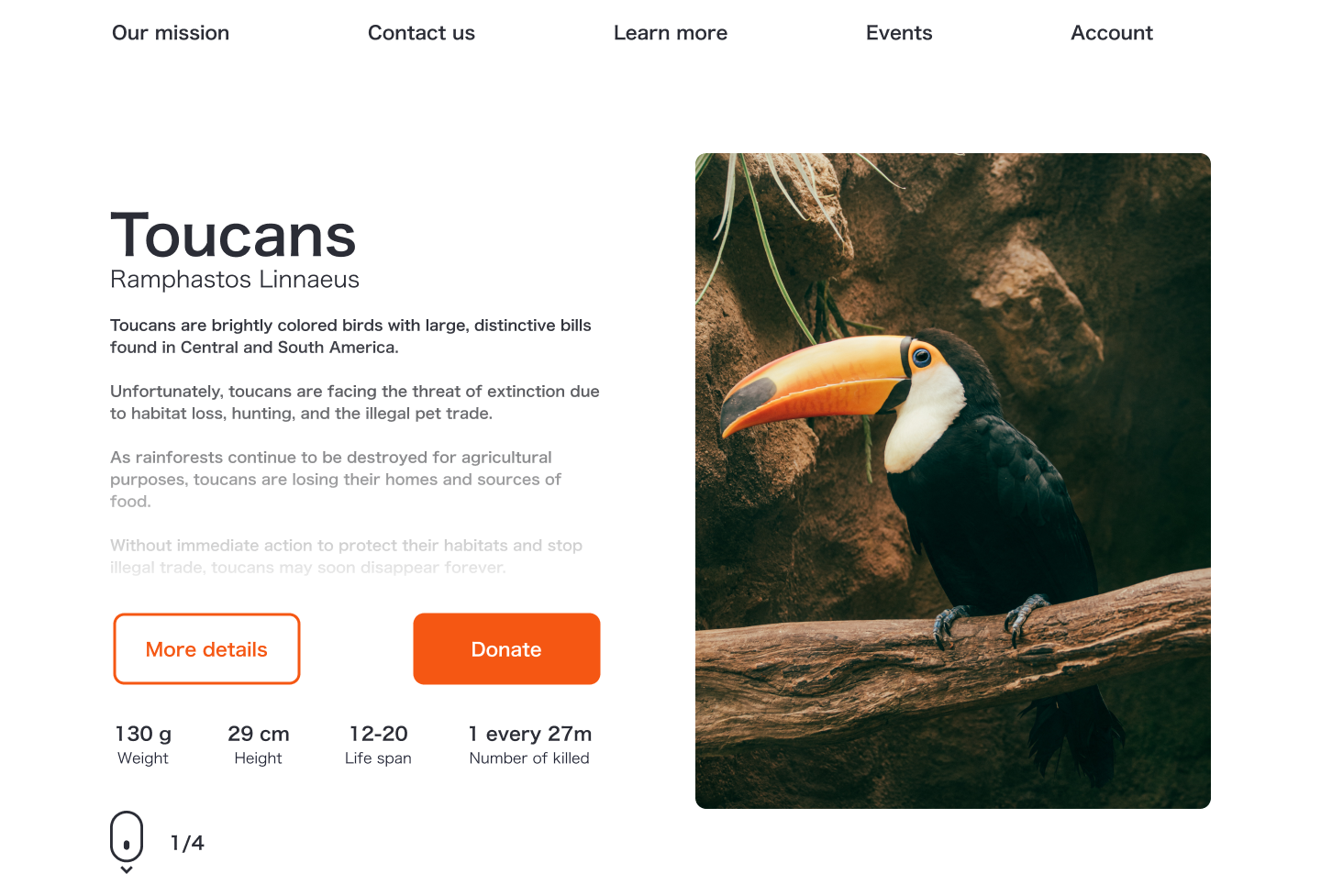 design-to-help-endangered-species-by-sacha-hersigny-on-dribbble
