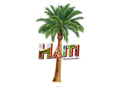 Haiti branding design graphic design illustration logo typography