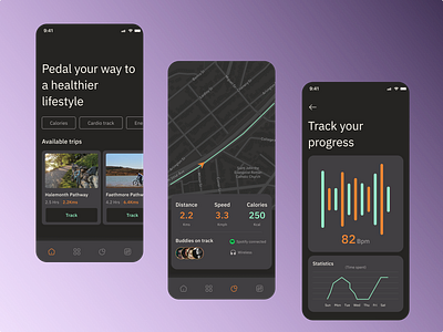 Bicycle Fitness application Visual design clean and minimal design fitness graph typography ui user experience user interface ux visual design