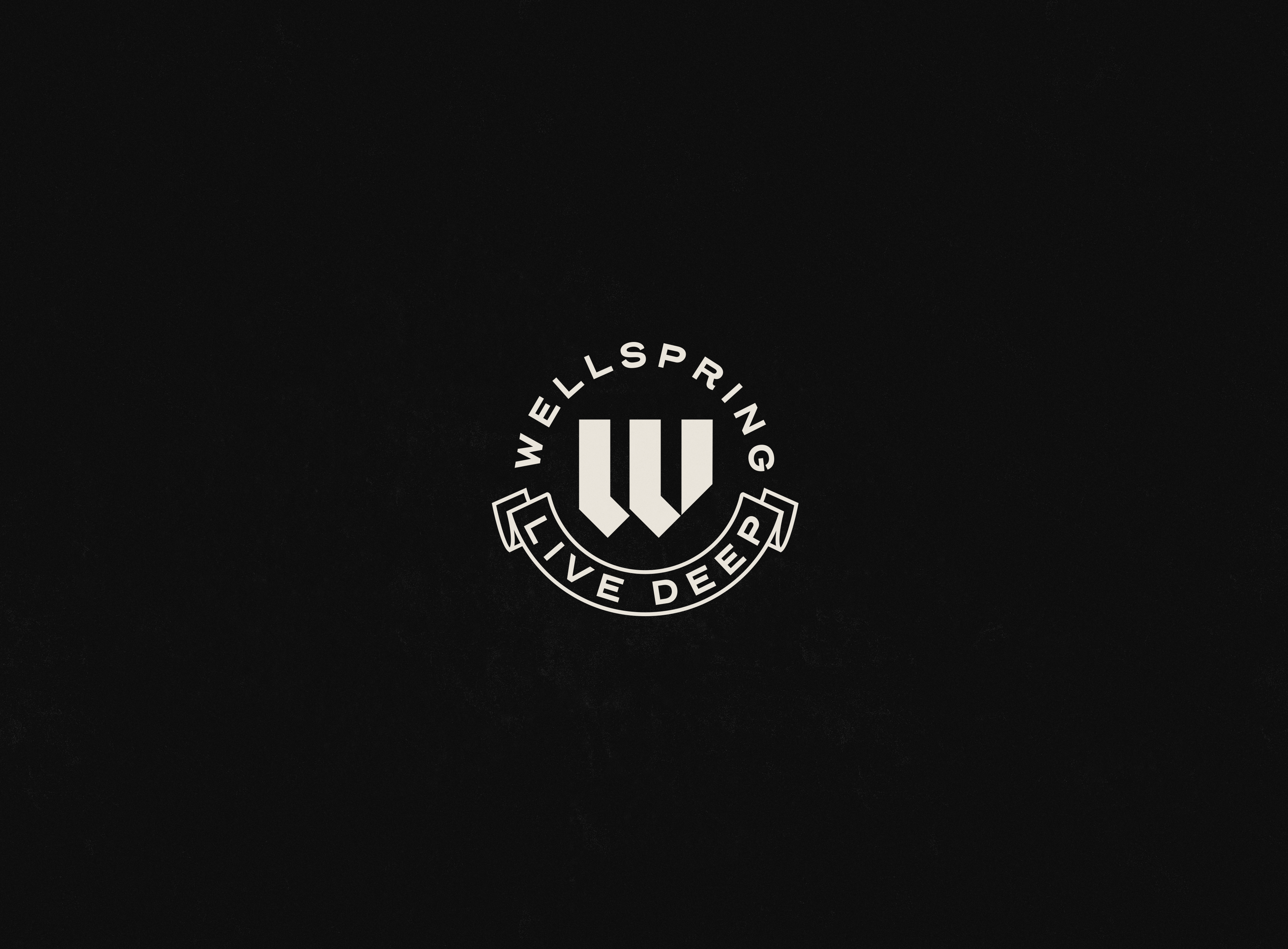 Wellspring Pensacola brand branding design graphic design logo logomark vector