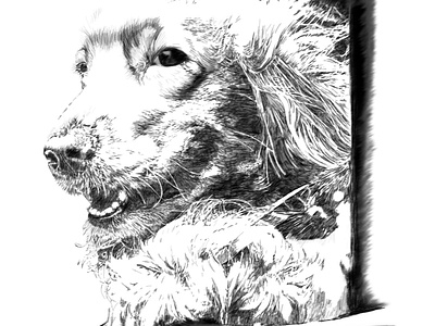 pets cute design dog draw drwing illustration pen pencil petlove portrait wacom