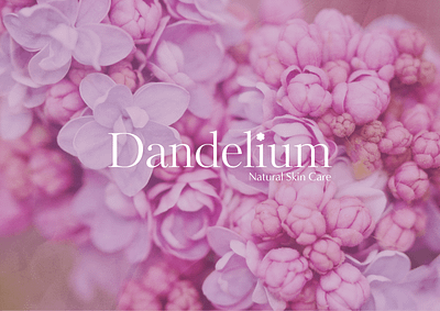 Dandelium SkinCare Branding branding design graphic design illustration logo typography vector