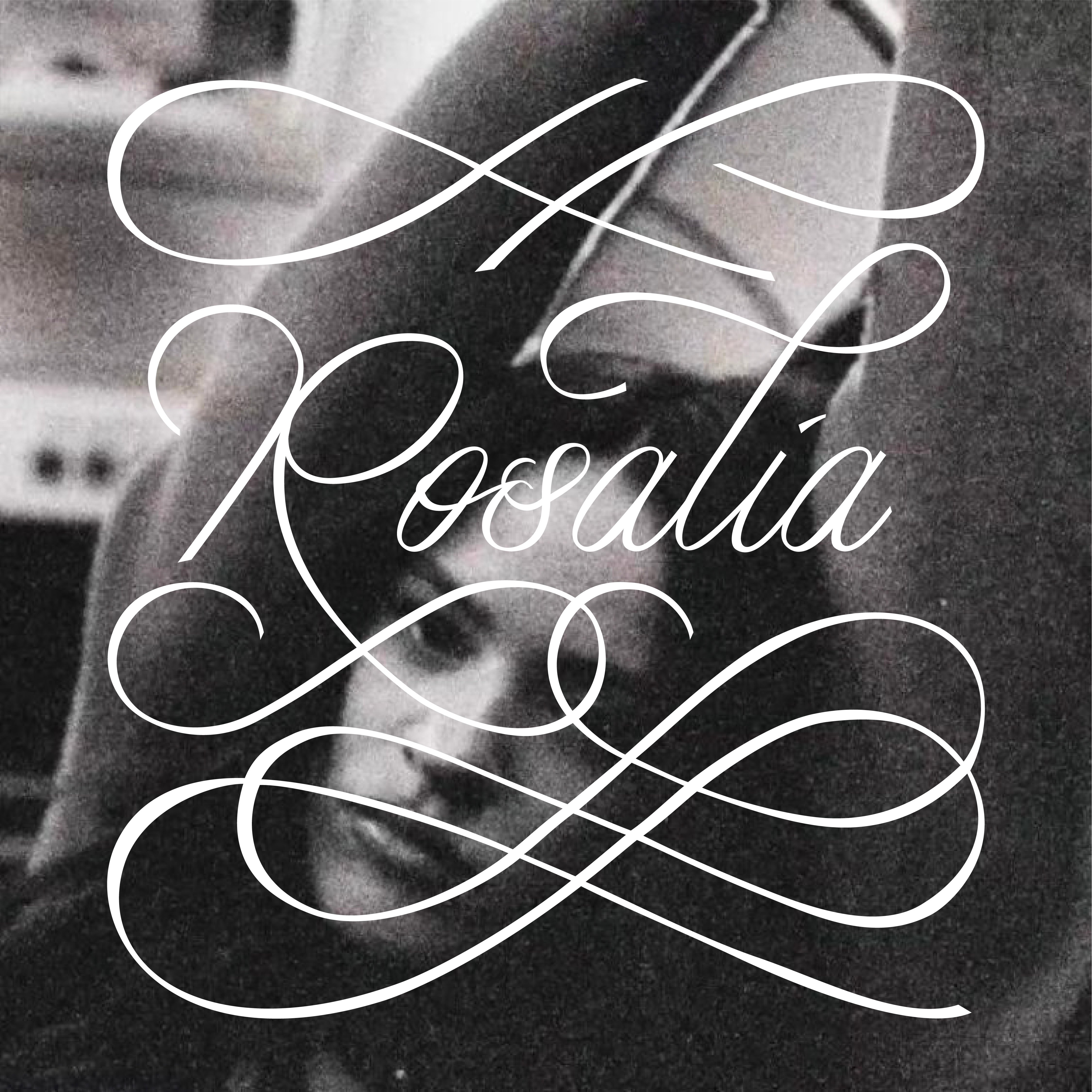 Rosalía Lettering | With Photography branding design graphic design hand lettering lettering logo music script spanish type design typeface typography