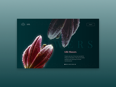 Flower Aesthetics 🌺 branding design first screen flower graphic design ui ux web webdesign website design