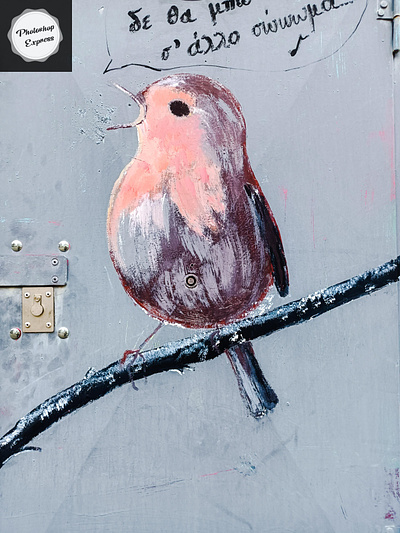 Το πουλάκι - The little bird cms illustration photo retouching photoshop storytelling street art wall design σχέδιο τοιχογραφία φωτογραφία