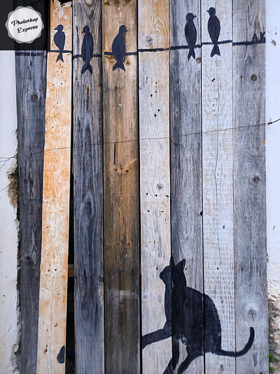 Μιά γάτα στα κεραμίδια - A cat in the roof tiles cms illustration photo retouching photoshop storytelling street art wall design σχέδιο τοιχογραφία φωτογραφία