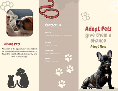 Dog daycare flyer branding dis diseño publicitario graphic design