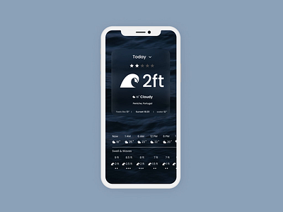 Surfers app: information for beginners about weather conditions 3d animation app app design art branding design flat graphic design illustration logo motion graphics ui visual concept