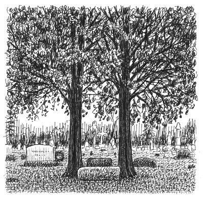 Twins art artist artwork drawing hand drawn illustration ink landscape nature sketch trees