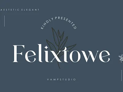 Felixtowe Modern Serif Font branding design font font awesome font design font family fonts typeface