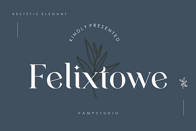 Felixtowe Modern Serif Font branding design font font awesome font design font family fonts typeface