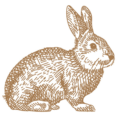 Rabbit Illustration cross hatched hand drawn illustration vintage drawing