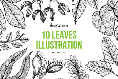 10 hand drawn leaves illustration