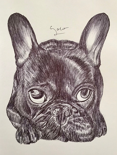 Ballpen Dog 🐩 ballpen bulldog design dog drawing illustration sketch