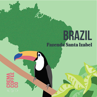 Coffee Card for Single-Origin Brazilian Beans branding design graphic design illustration
