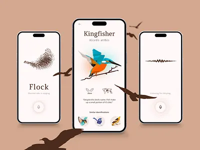 Concept Crunch - Flock: Discover birds in your surroundings bird animation bird app bird discovery bird flock bird shazam bird swarm mobile bird app mobile design product design sound discovery swarm animation wildlife wildlife application wildlife bird app