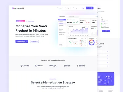 API Monetization web design... 3d animation branding design graphic design illustration logo motion graphics ui vector