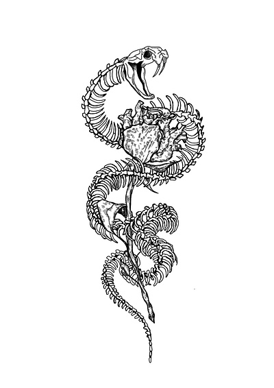 Dead Snake dead graphic design illustraion rose skeleton snake