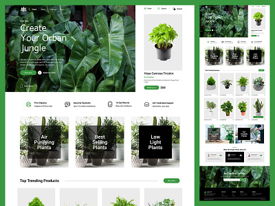 Plants Shop Website Templated Design appdesign branding graphicdesign landingpage mobiledesign pants shop plants productdesign prototype shop templatedesign uidesign userexperiencedesign userinterfacedesign uxdesign uxresearch visualdesign webdesign webdevelopment wireframes