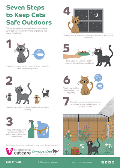 Pet care infographics