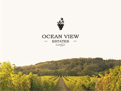 Ocean View Estates Logo Concept alcohol brand branding concept estate eye grape luxury ocean view vinyard wave wine winery wip